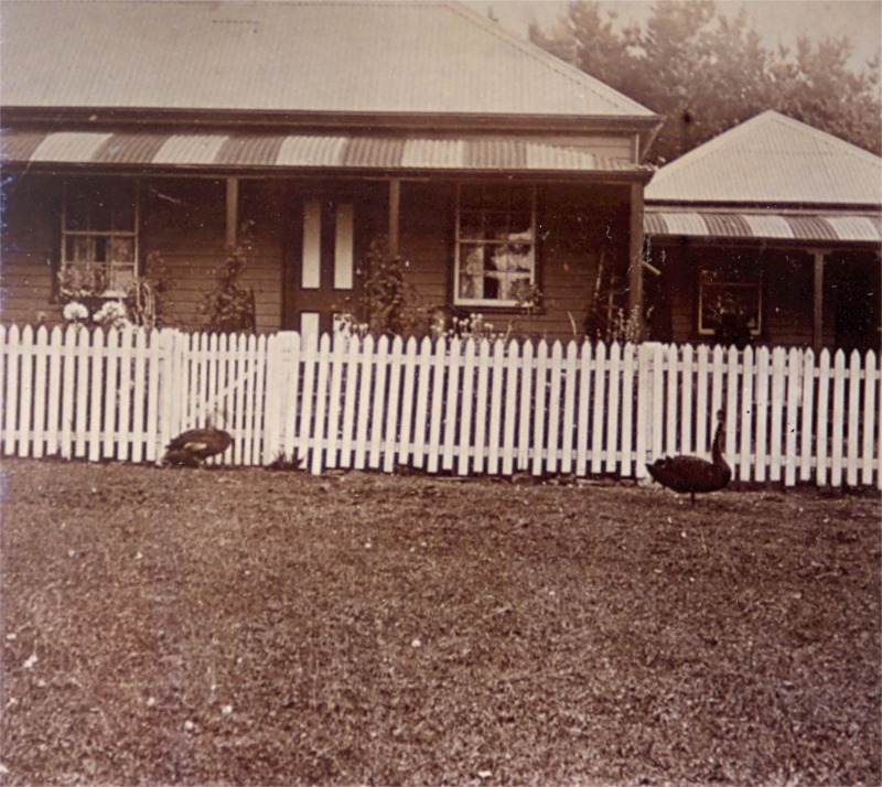 Chauncey Bugbeethe American Patriot > Thousand Islands Life Magazine